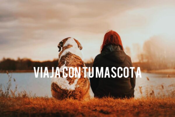 Viaja con tu mascota